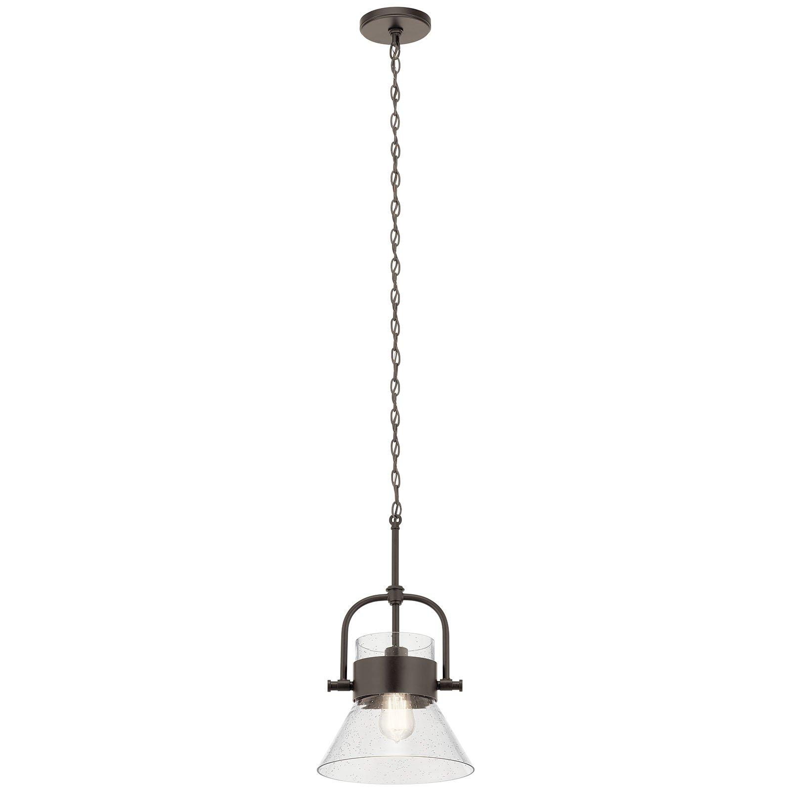 Aldean™ 1 Light Pendant Olde Bronze® on a white background