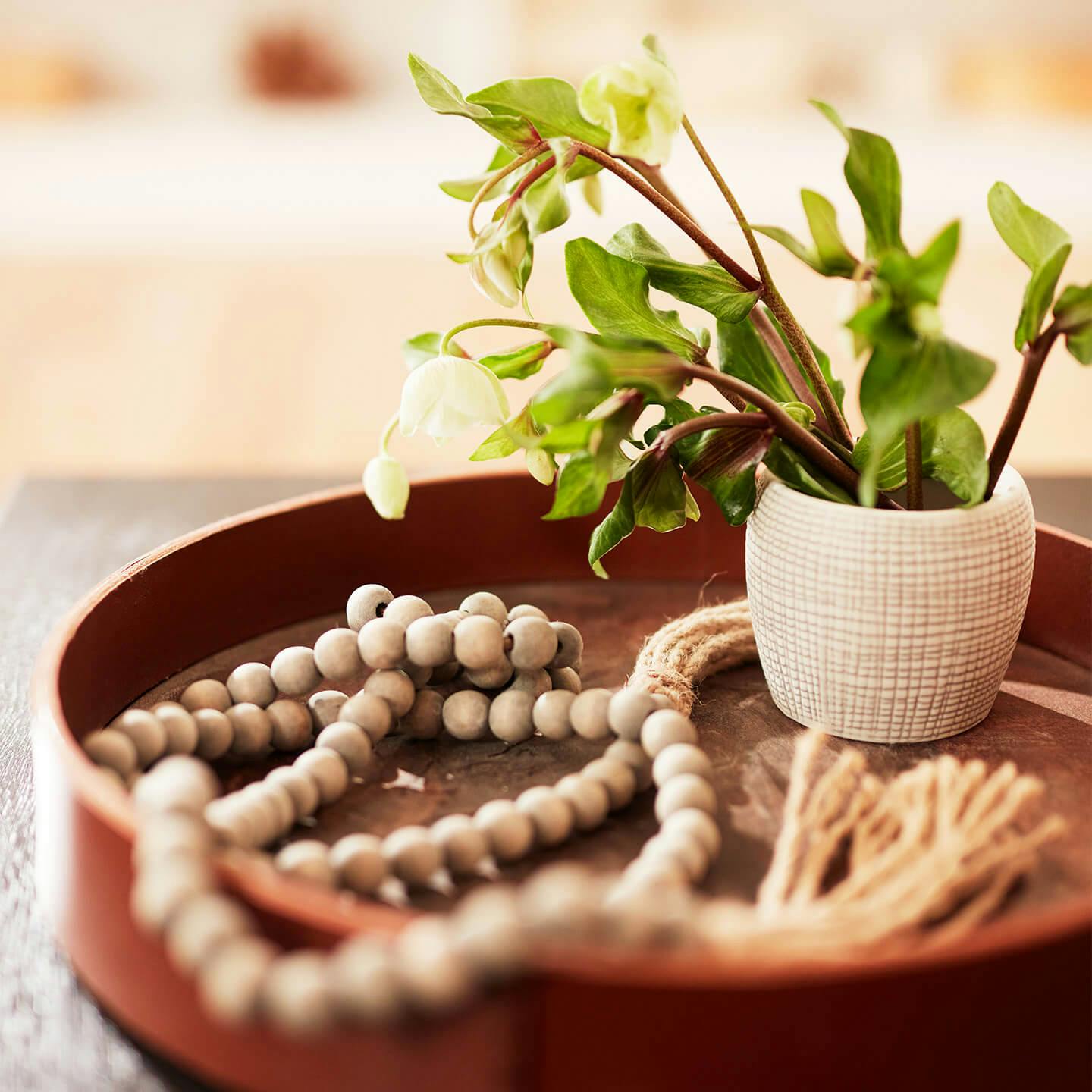 Small potted plant and beaded cord on a table top tray.