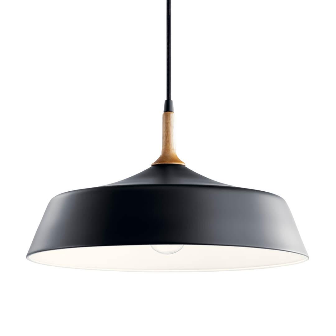 The Danika 1 Light Pendant in Black on a white background