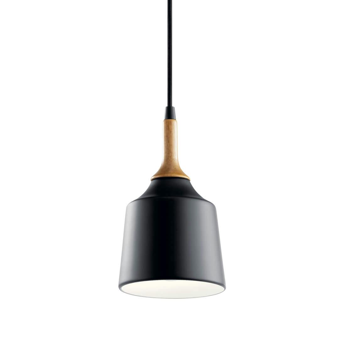 The Danika 1 Light Mini Pendant Black on a white background