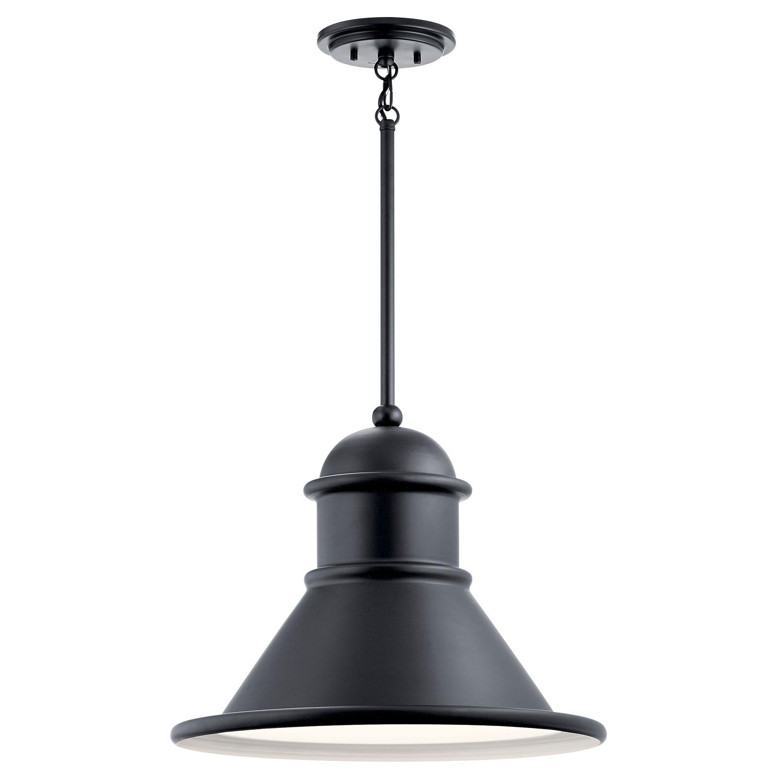 Northland™ 1 Light Pendant Black on a white background