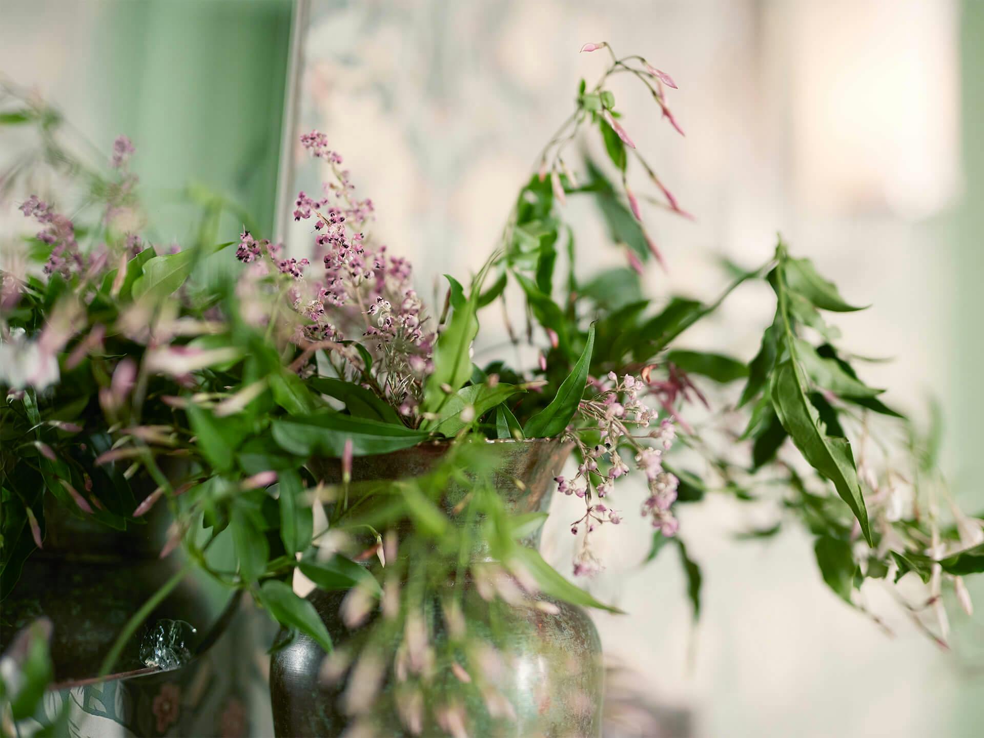 Greenery with purple and white flowers