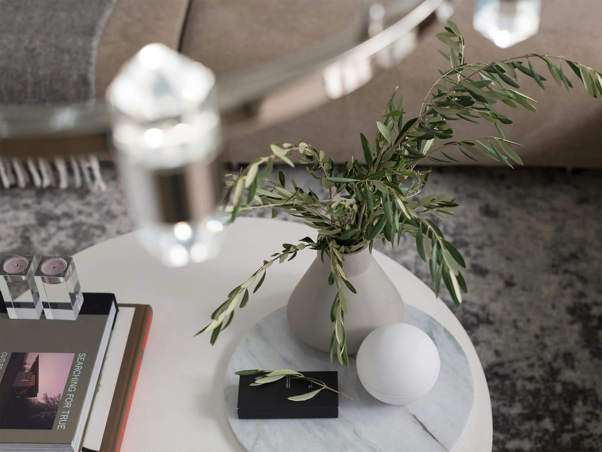 Lifestyle image of a table with a plant in a vase and some books in a living room in the daytime