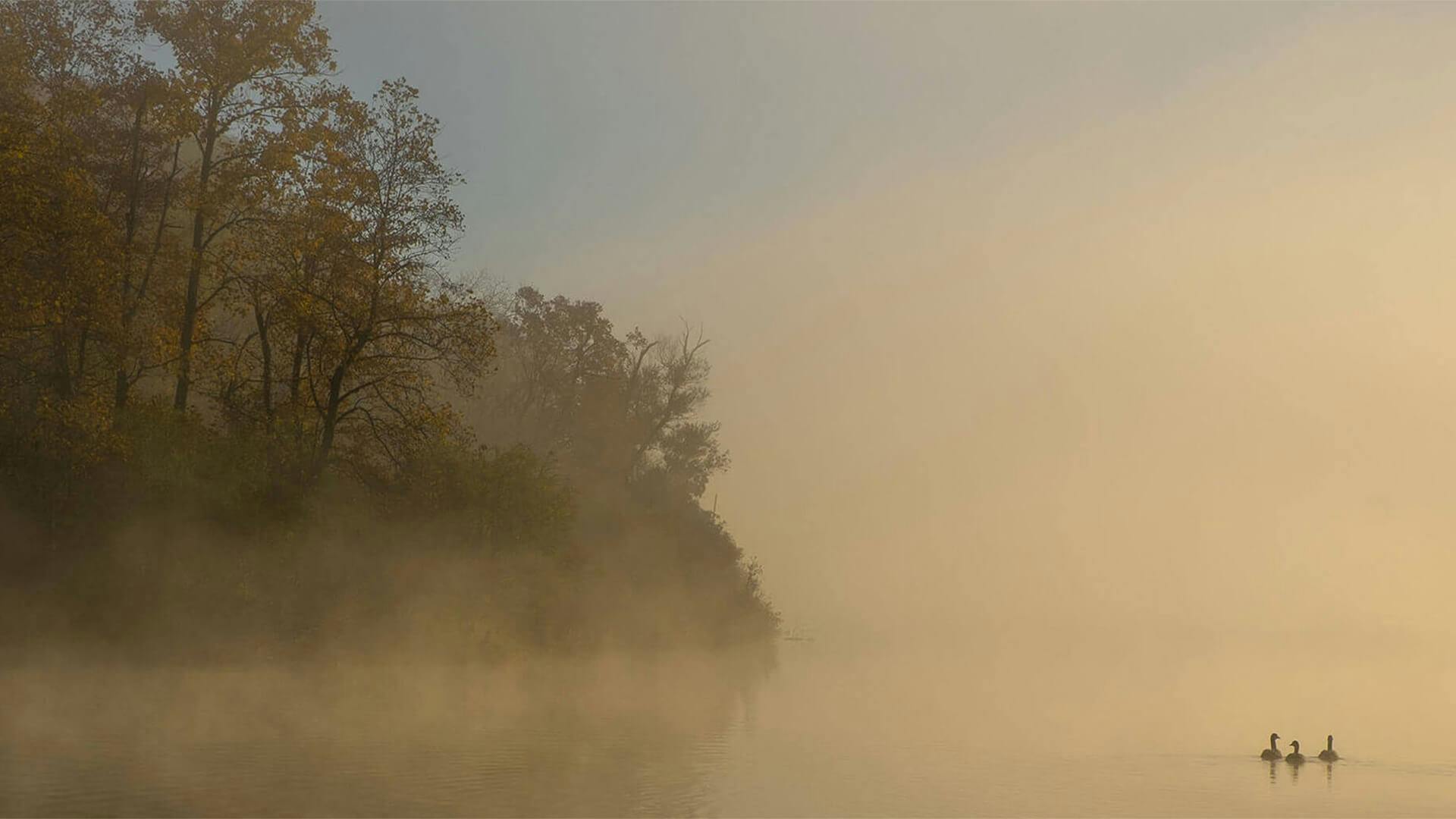 A lake lit by the suns glow through the mist during the early morning 