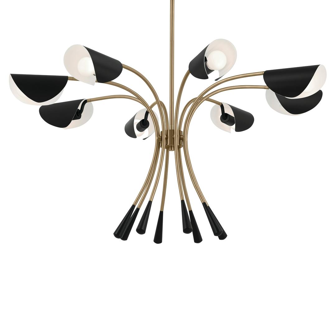 Arcus 45.5 Inch 8 Light Chandelier in Champagne Bronze with Black on a white background