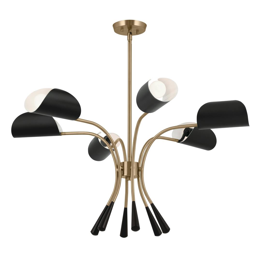 Arcus 39.25 Inch 6 Light Chandelier in Champagne Bronze with Black on a white background